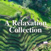 A Relaxation Collection