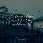 25 Serene Rain Sounds for Sleep and Serenity