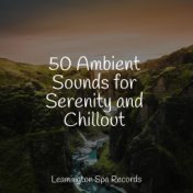 50 Ambient Sounds for Serenity and Chillout