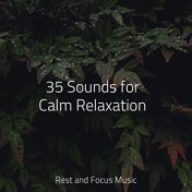 35 Sounds for Calm Relaxation