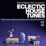 Eclectic House Tunes (Visionary House Sounds and Rhythms)