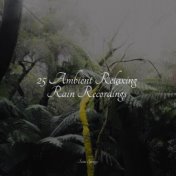 25 Ambient Relaxing Rain Recordings
