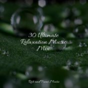 30 Ultimate Relaxation Music Mix