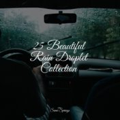 25 Beautiful Rain Droplet Collection