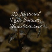 25 Natural Rain Sounds: Thunderstorms