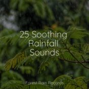 25 Soothing Rainfall Sounds