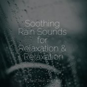 Soothing Rain Sounds for Relaxation & Relaxation