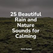 25 Beautiful Rain and Nature Sounds for Calming