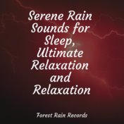 Serene Rain Sounds for Sleep, Ultimate Relaxation and Relaxation