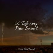 30 Relaxing Rain Sounds