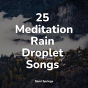 25 Meditation Rain Droplet Songs