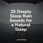 25 Deeply Sleep Rain Sounds for a Natural Sleep