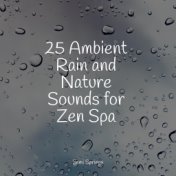 25 Ambient Rain and Nature Sounds for Zen Spa