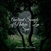 Ambient Sounds of Nature | Zen Spa