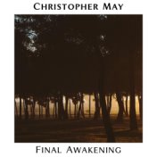 Final Awakening