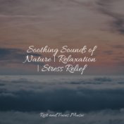 Soothing Sounds of Nature | Relaxation | Stress Relief