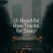 25 Beautiful Rain Tracks for Sleep