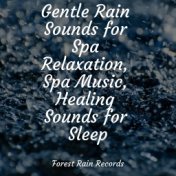 Gentle Rain Sounds for Spa Relaxation, Spa Music, Healing Sounds for Sleep