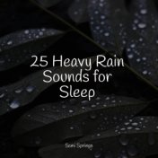 25 Heavy Rain Sounds for Sleep