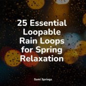 25 Essential Loopable Rain Loops for Spring Relaxation