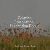 Relaxing Compilation | Meditation Focus