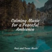 Calming Music for a Peaceful Ambience