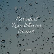 Essential Rain Shower Sounds