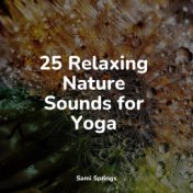 25 Relaxing Nature Sounds for Yoga