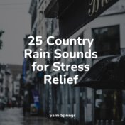 25 Country Rain Sounds for Stress Relief