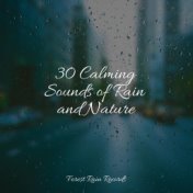 30 Calming Sounds of Rain and Nature
