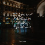 25 Spa and Meditation Tracks - Rainshower