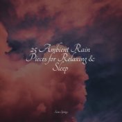 25 Ambient Rain Pieces for Relaxing & Sleep
