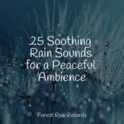 25 Soothing Rain Sounds for a Peaceful Ambience