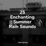 25 Enchanting Summer Rain Sounds