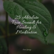 25 Absolute Rain Sounds for Healing & Meditation