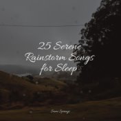 25 Serene Rainstorm Songs for Sleep