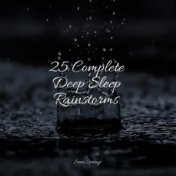 25 Complete Deep Sleep Rainstorms