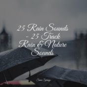 25 Rain Sounds - 25 Track Rain & Nature Sounds