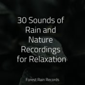 30 Sounds of Rain and Nature Recordings for Relaxation