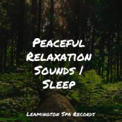 Peaceful Relaxation Sounds | Sleep