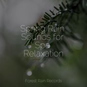 Spring Rain Sounds for Spa Relaxation