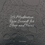 25 Meditation Rain Sounds for Sleep and Focus