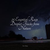 25 Essential Rain Droplet Tracks from Nature