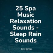 25 Spa Music Relaxation Sounds - Sleep Rain Sounds