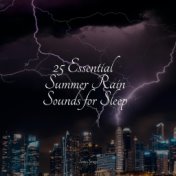 25 Essential Summer Rain Sounds for Sleep