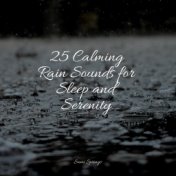 25 Calming Rain Sounds for Sleep and Serenity