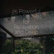 25 Powerful Rain Sounds for Relaxation and Deep Sleep