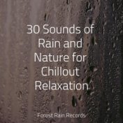 30 Sounds of Rain and Nature for Chillout Relaxation