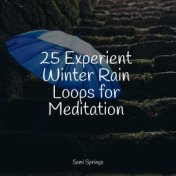 25 Experient Winter Rain Loops for Meditation