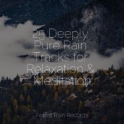 25 Deeply Pure Rain Tracks for Relaxation & Meditation